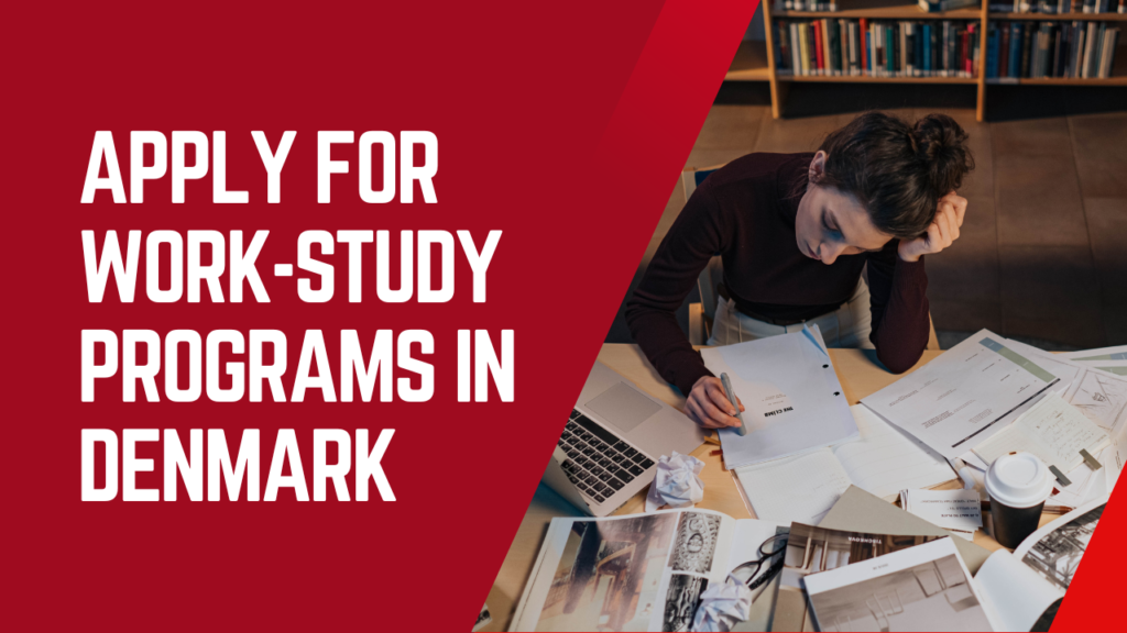 Apply for Work-Study Programs in Denmark