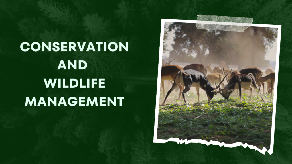 Conservation and Wildlife Management